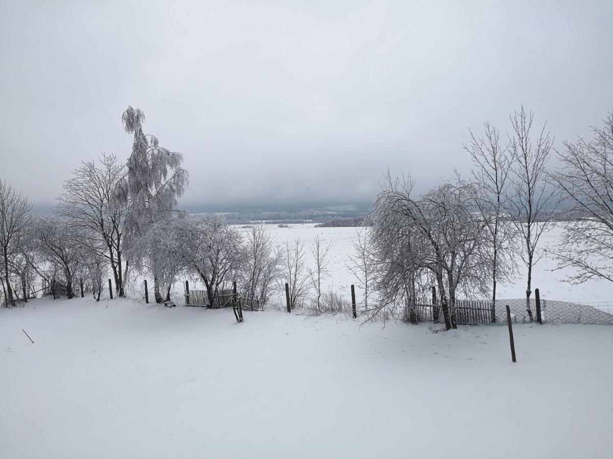 Agroturystyka Cieslarowka ルバフカ エクステリア 写真